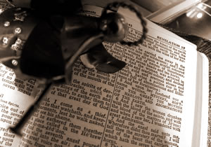 angel bible