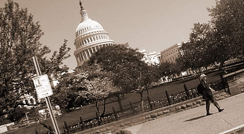 capitol - no parking here to corner
