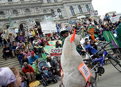 Step It Up! Capital. Albany, New York.